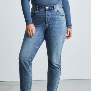 Everlane The Curvy ’90s Cheeky Jean Size 27